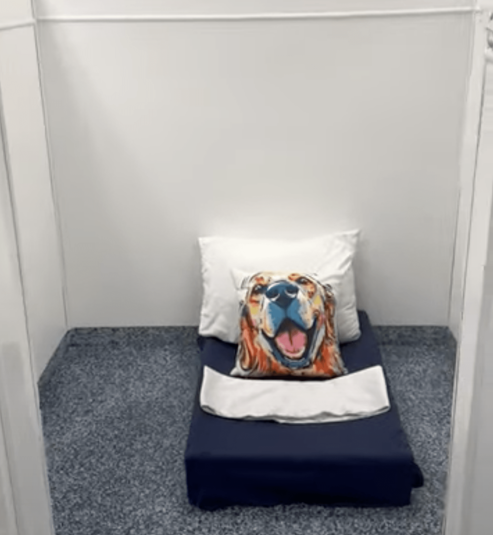 dog daycare west palm beach