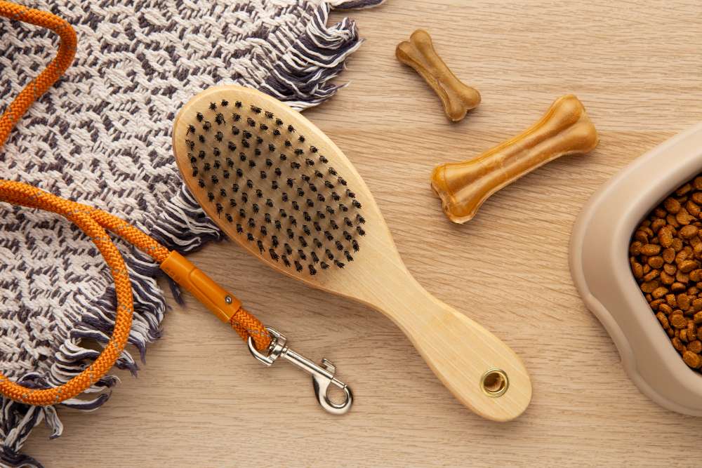dog grooming West Palm Beach Fl