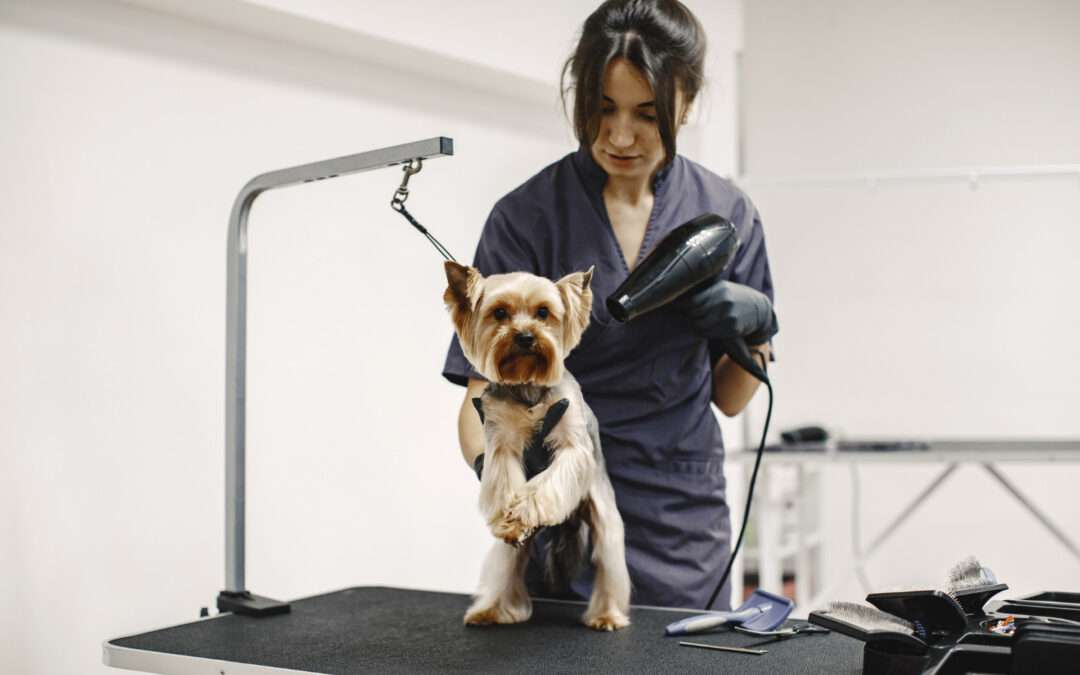 Stress-free grooming