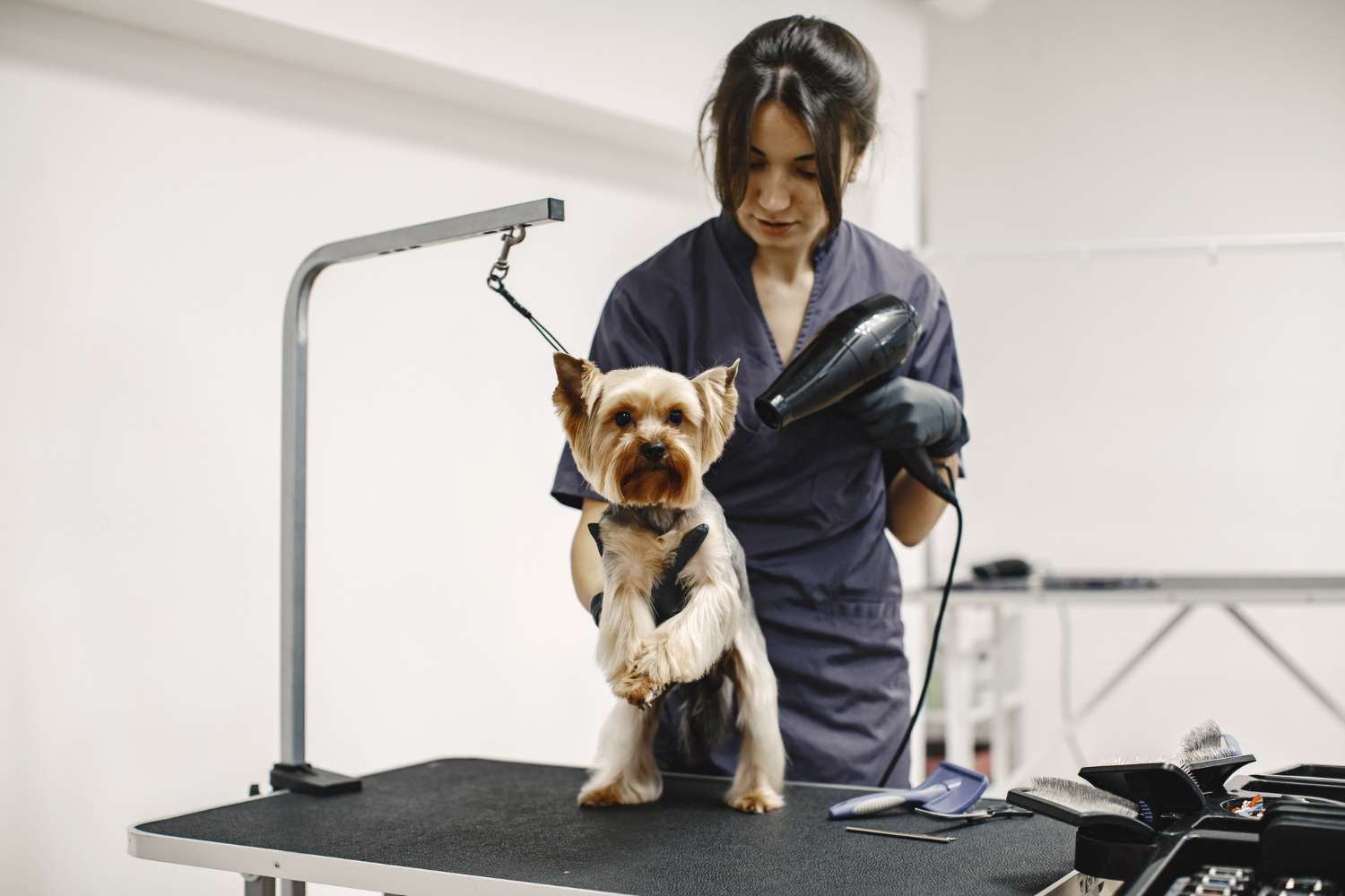 Stress-free grooming Stress-free grooming