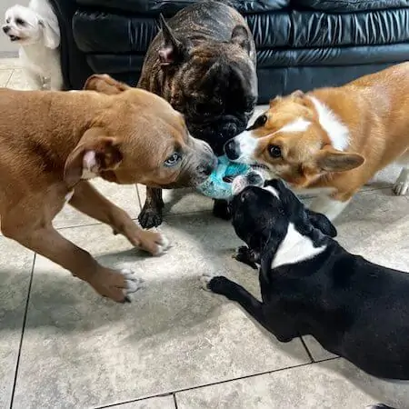 day care