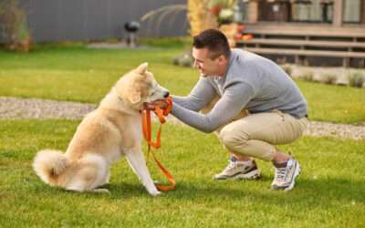 Brian’s Positive Training During Lake Worth Daycare